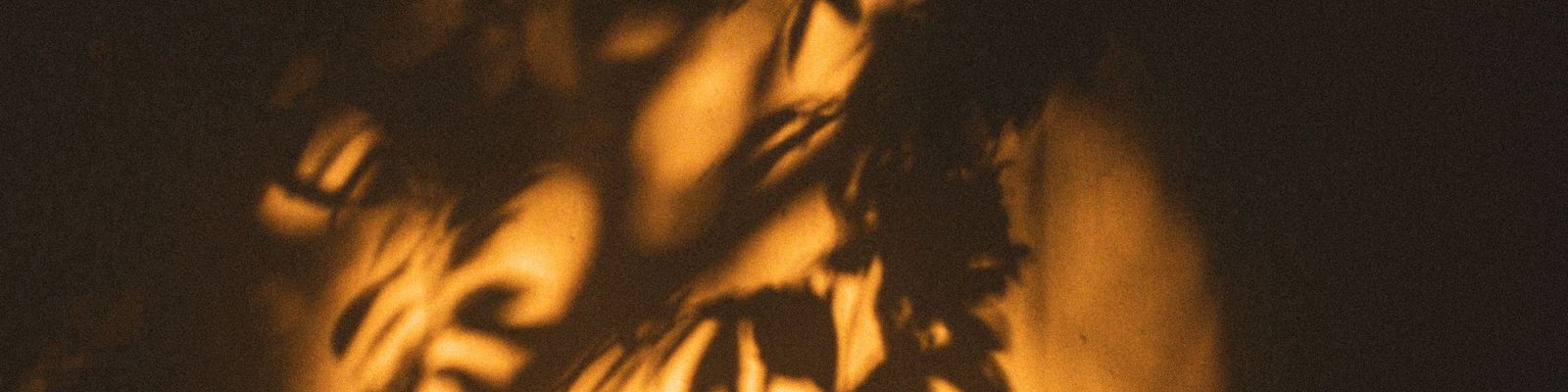 Golden light and leaf shadows on a wall